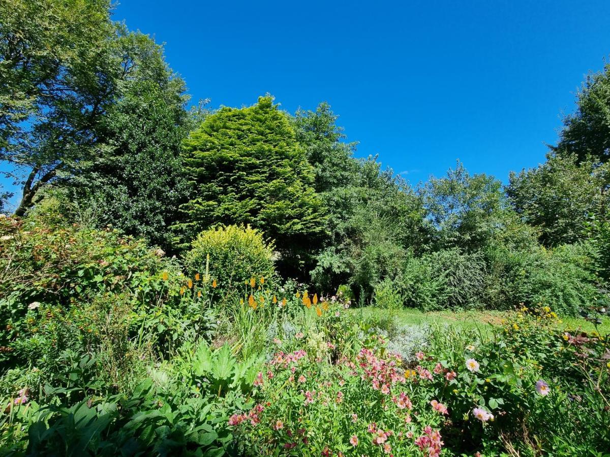 Yellowwood Cottage 히머빌 외부 사진